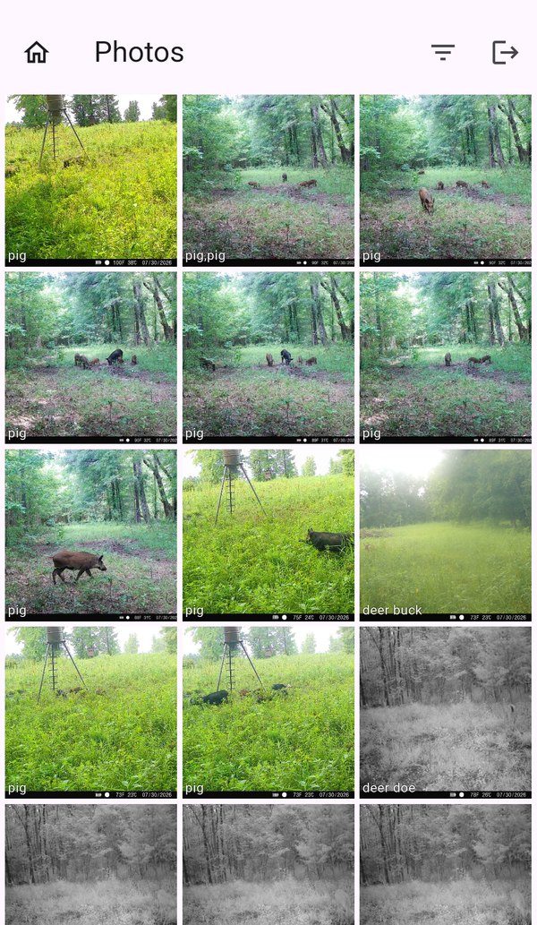 Photo grid filtered by species and location